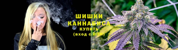 хмурый Заводоуковск