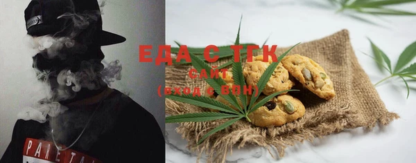индика Заволжье