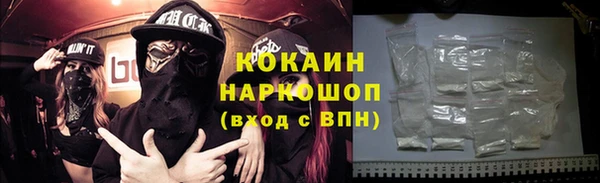 индика Заволжье