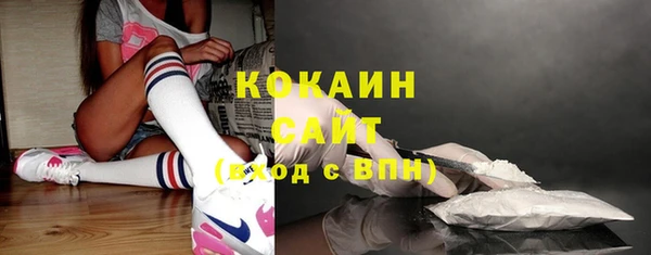 индика Заволжье