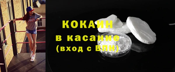 индика Заволжье