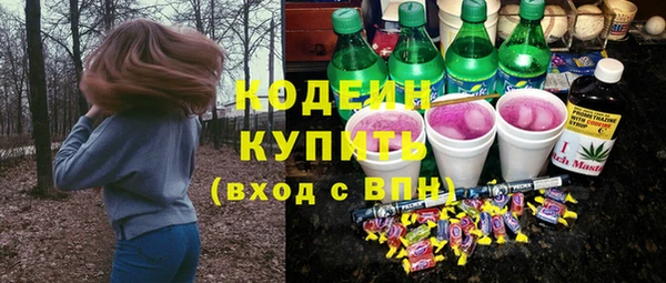 индика Заволжье