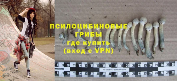 индика Заволжье