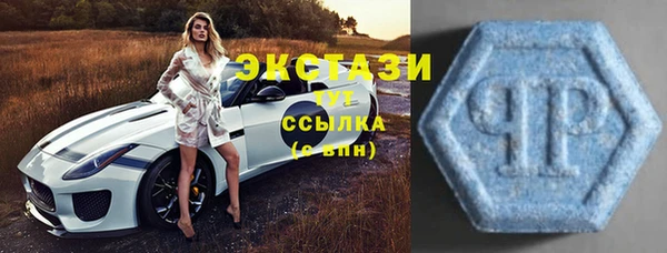 индика Заволжье