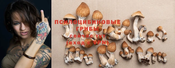 хмурый Заводоуковск