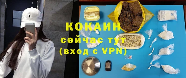 индика Заволжье
