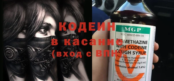 индика Заволжье