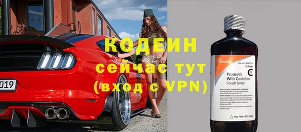 хмурый Заводоуковск